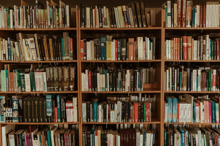 Organised library shelves representing how a vector database stores and retrieves information for RAG